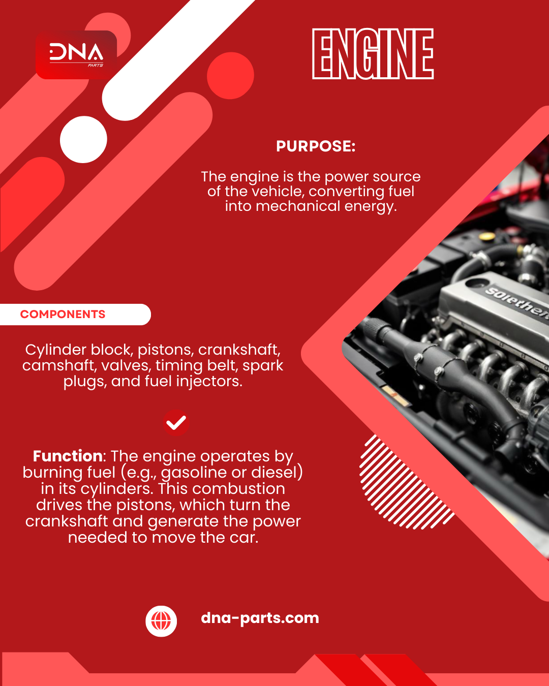DNA PARTS 5